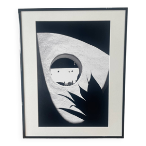 Photographie ''Le cactus