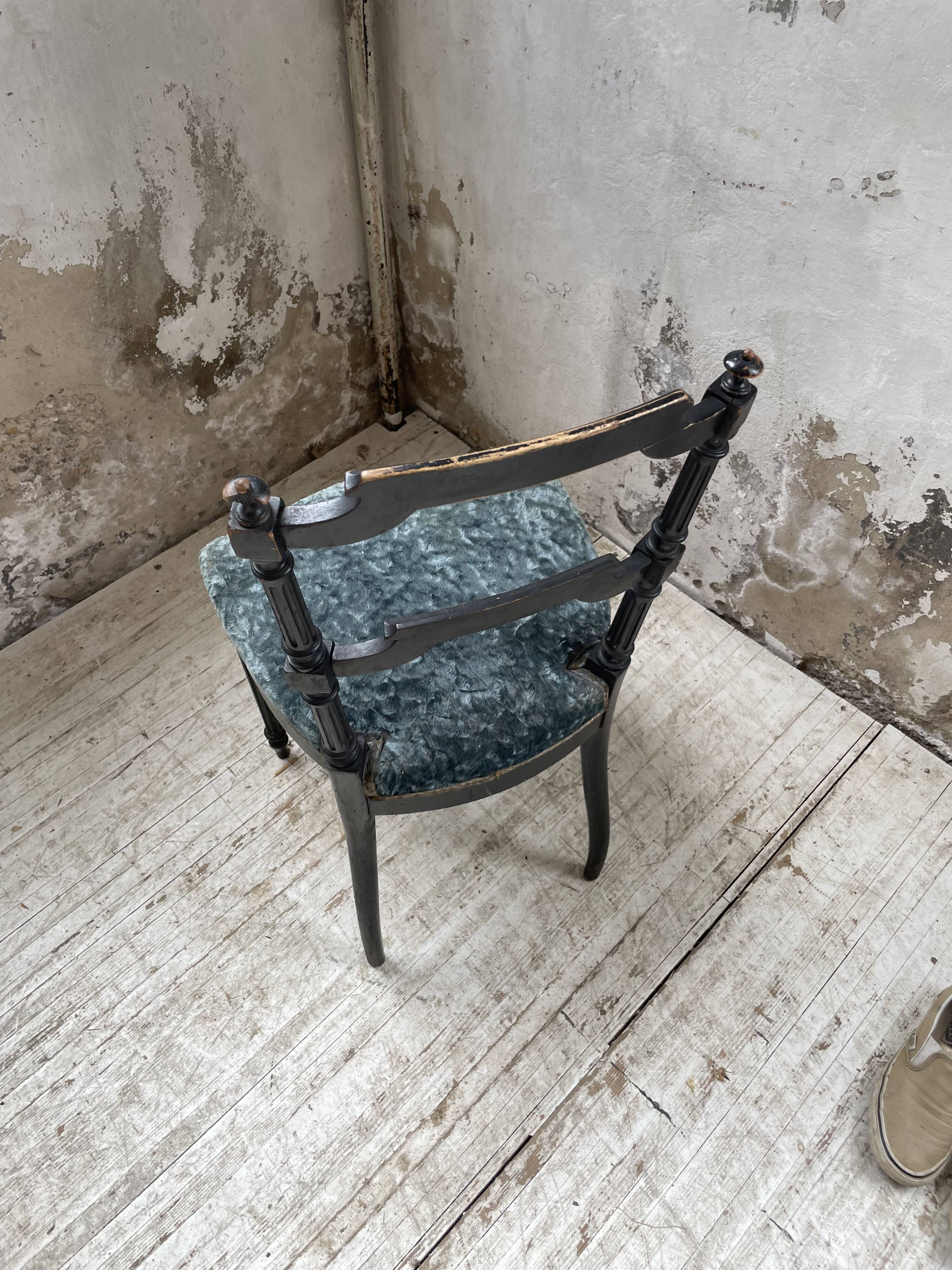 Chaise Napoléon 3 velours bleu