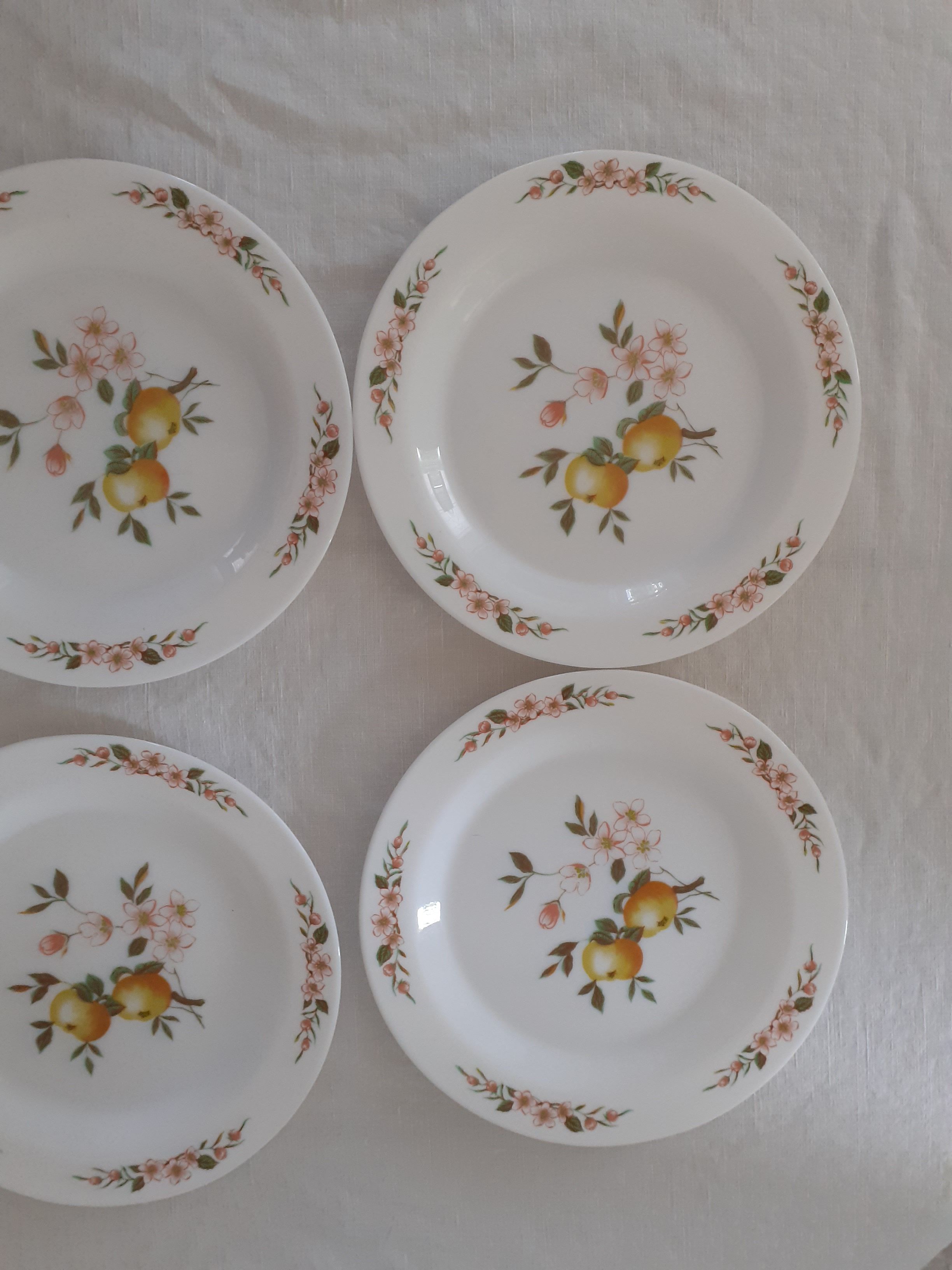 6 Flat plates Normandy apple decoration Arcopal france