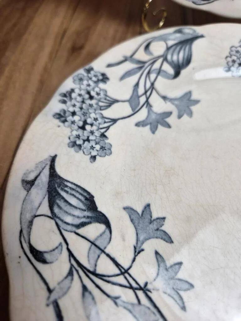 Set of 2 Longchamp ironstone plates model Lila Art Nouveau 22 cm