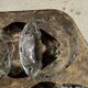 Set of 14 triangular glass ashtrays D13