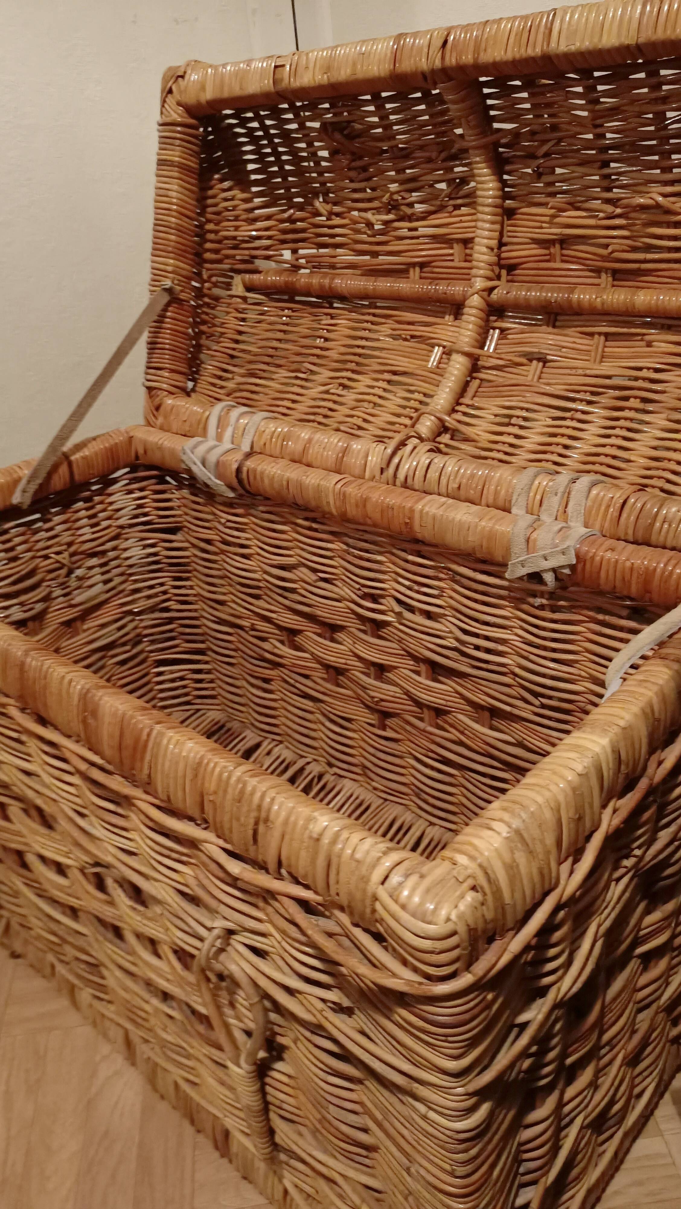 Braided wicker trunk