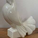 Pigeon Adnet