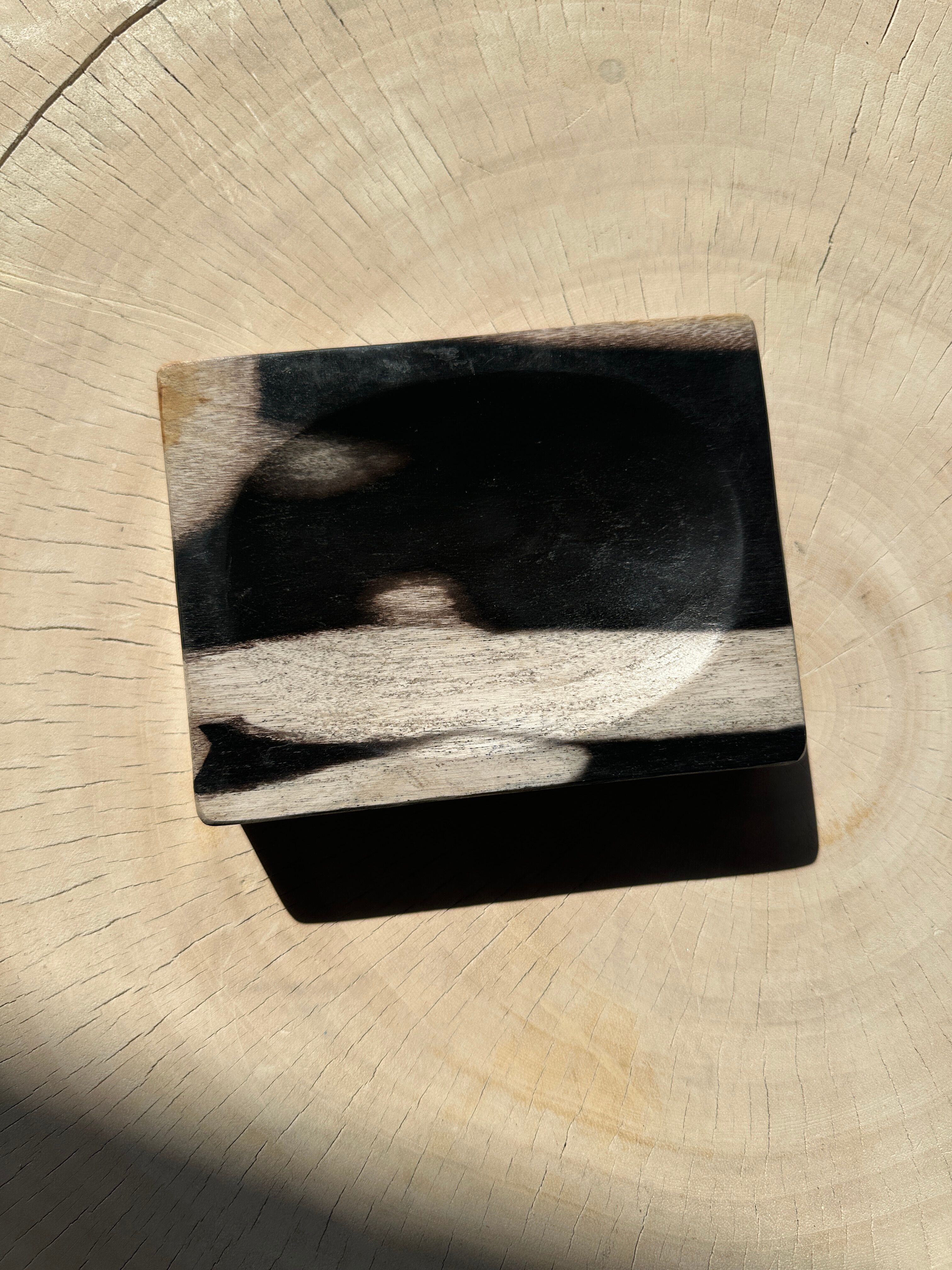 Symmetrical multicolored petrified wood soap dish