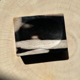 Symmetrical multicolored petrified wood soap dish