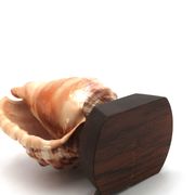 Lampe à poser coquillage naturel et socle en bois, années 60