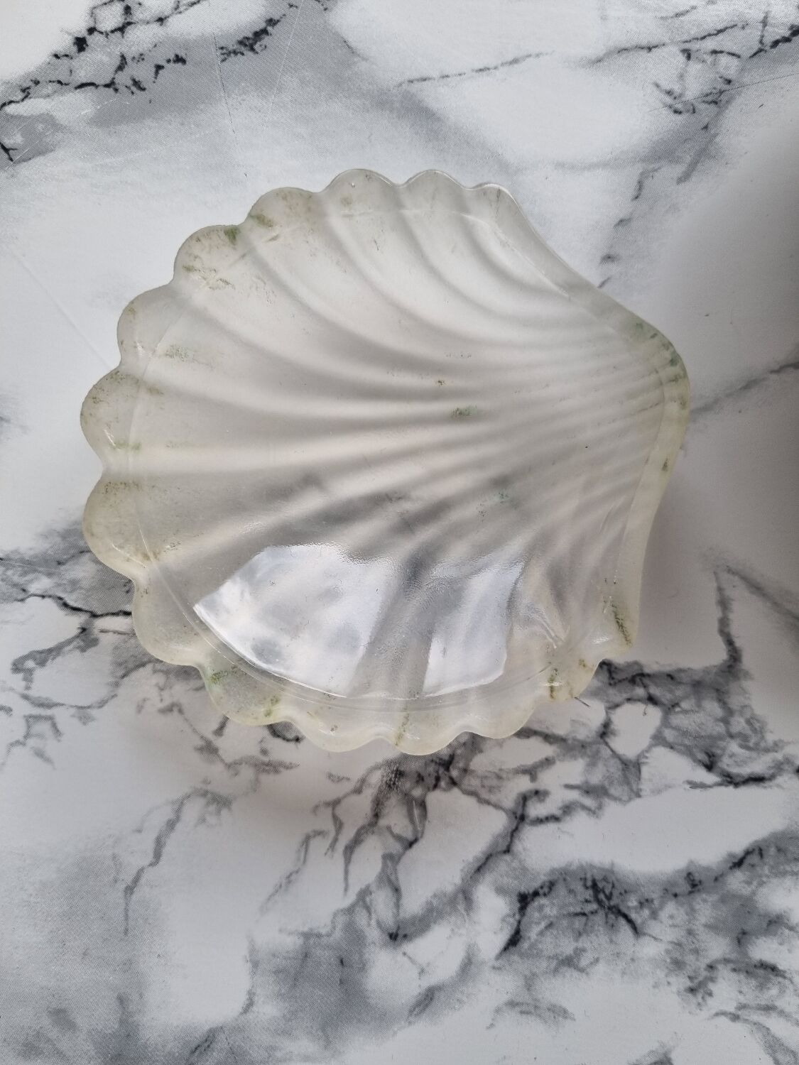 Shell butter dish