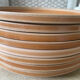 Lot de 8 assiettes plates en grès Sarreguemines