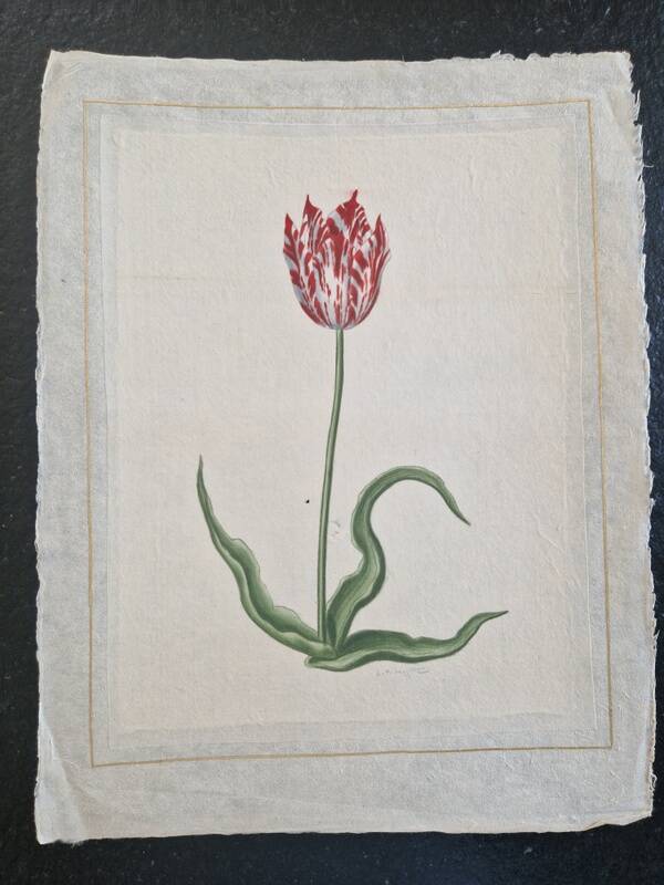 La Roche Laffitte (Born in 1943) - Watercolour drawing on silk - Tulip