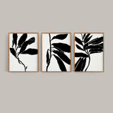 Set of 3 giclee prints. Botanical series