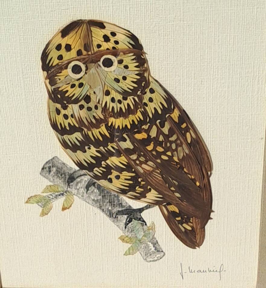 Framed tableau under glass, owl with butterfly wings.
