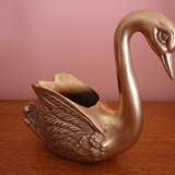 Cygne laiton