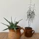 Vintage sandstone pitcher