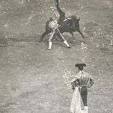 Old photography stereo, stereograph, luxury albumine 1903 Bull race, Seville, Spain