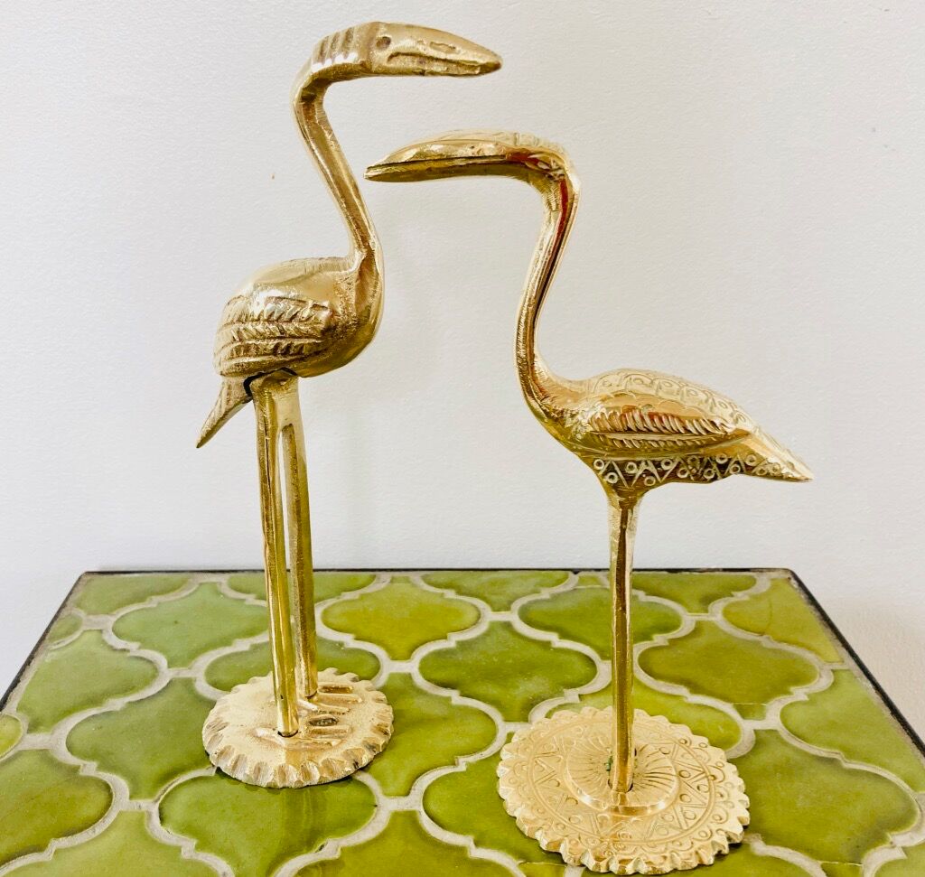 Couple of birds ibis or brass herons