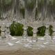 Set of 6 crystal water glasses from arques. louvre model.