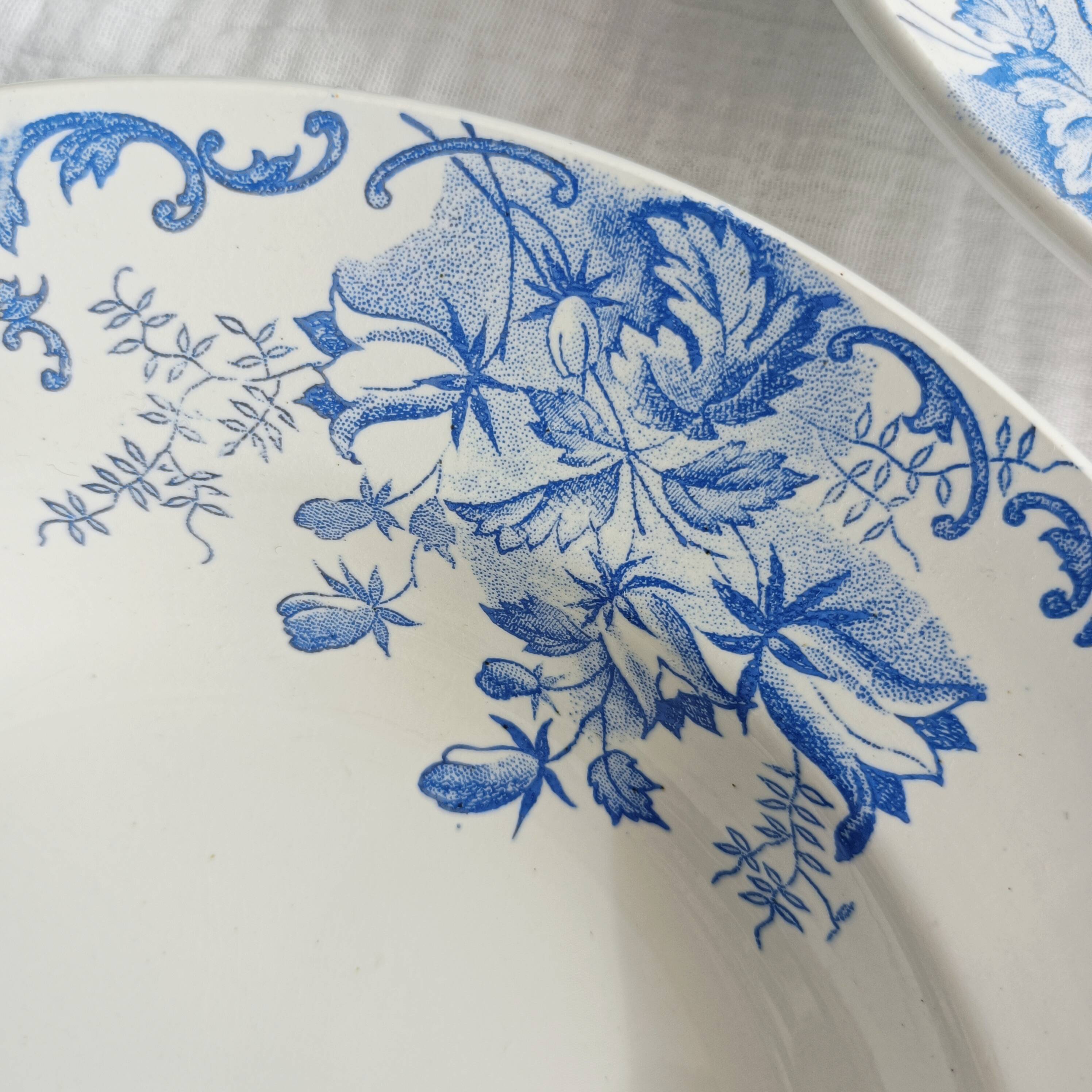 Set of 6 Saint Amand et Hamage iron earth soup plates, Bellflower