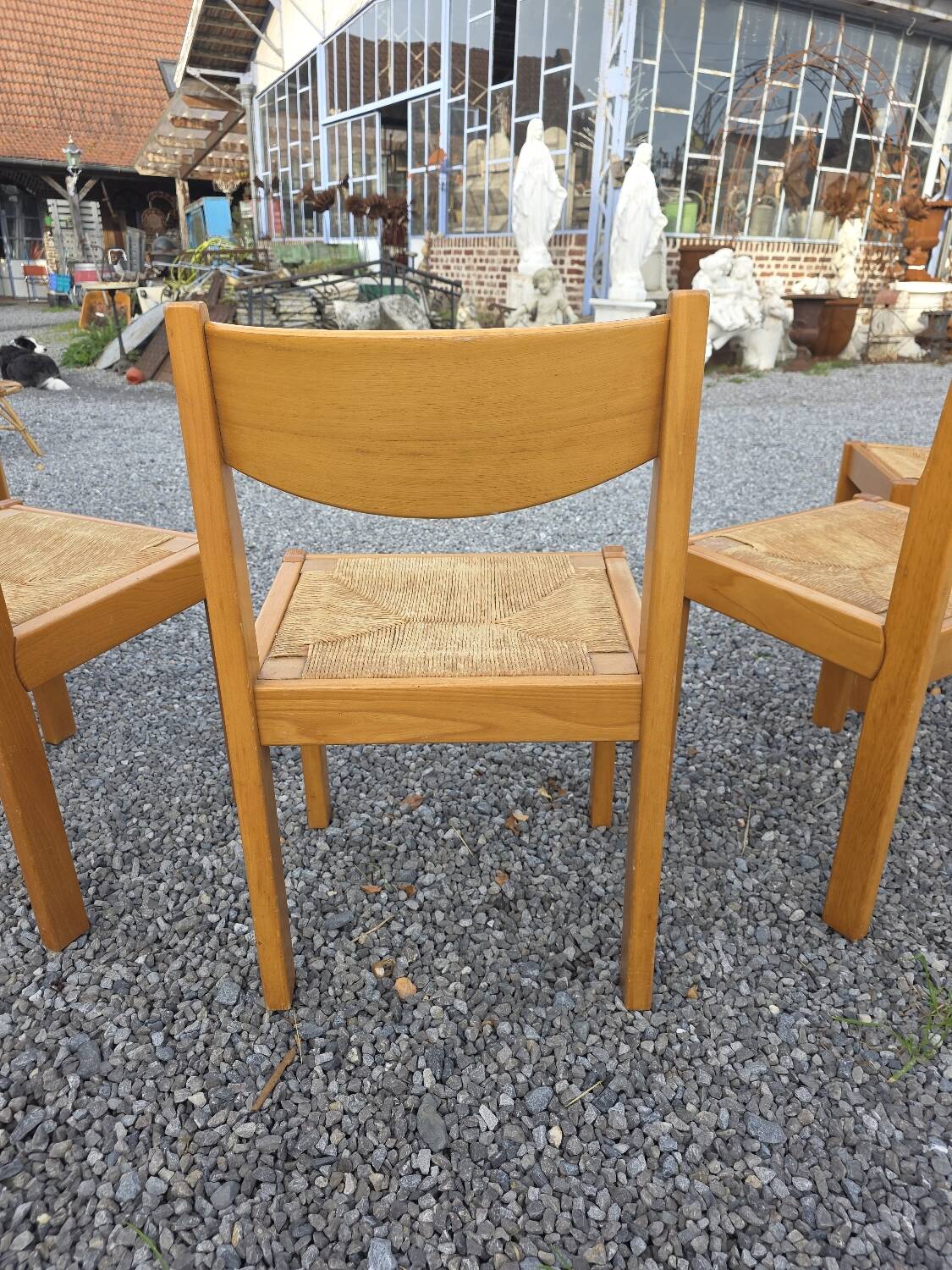 6 chaises vintage en orme maison Regain années 60