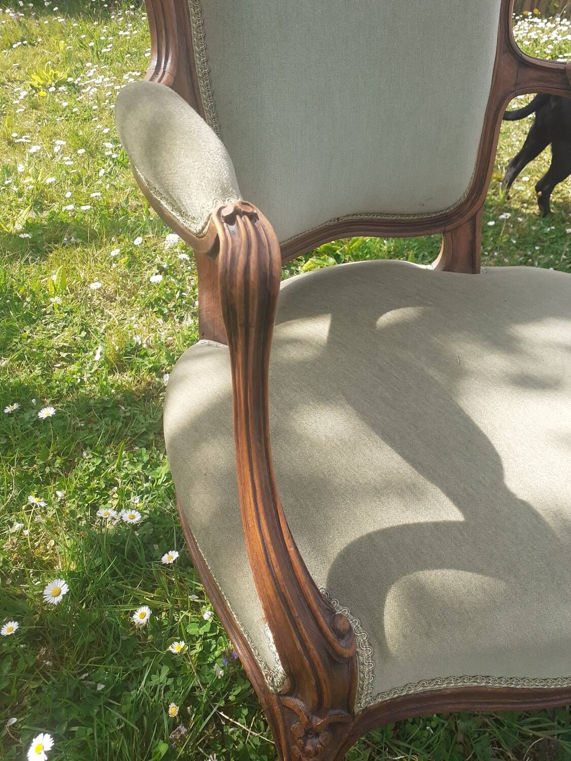 Pair of Rocaille style armchairs in green fabric and walnut, 19th century