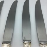 12 silver metal knives.