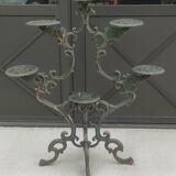 Old shelf carrying cast iron plants