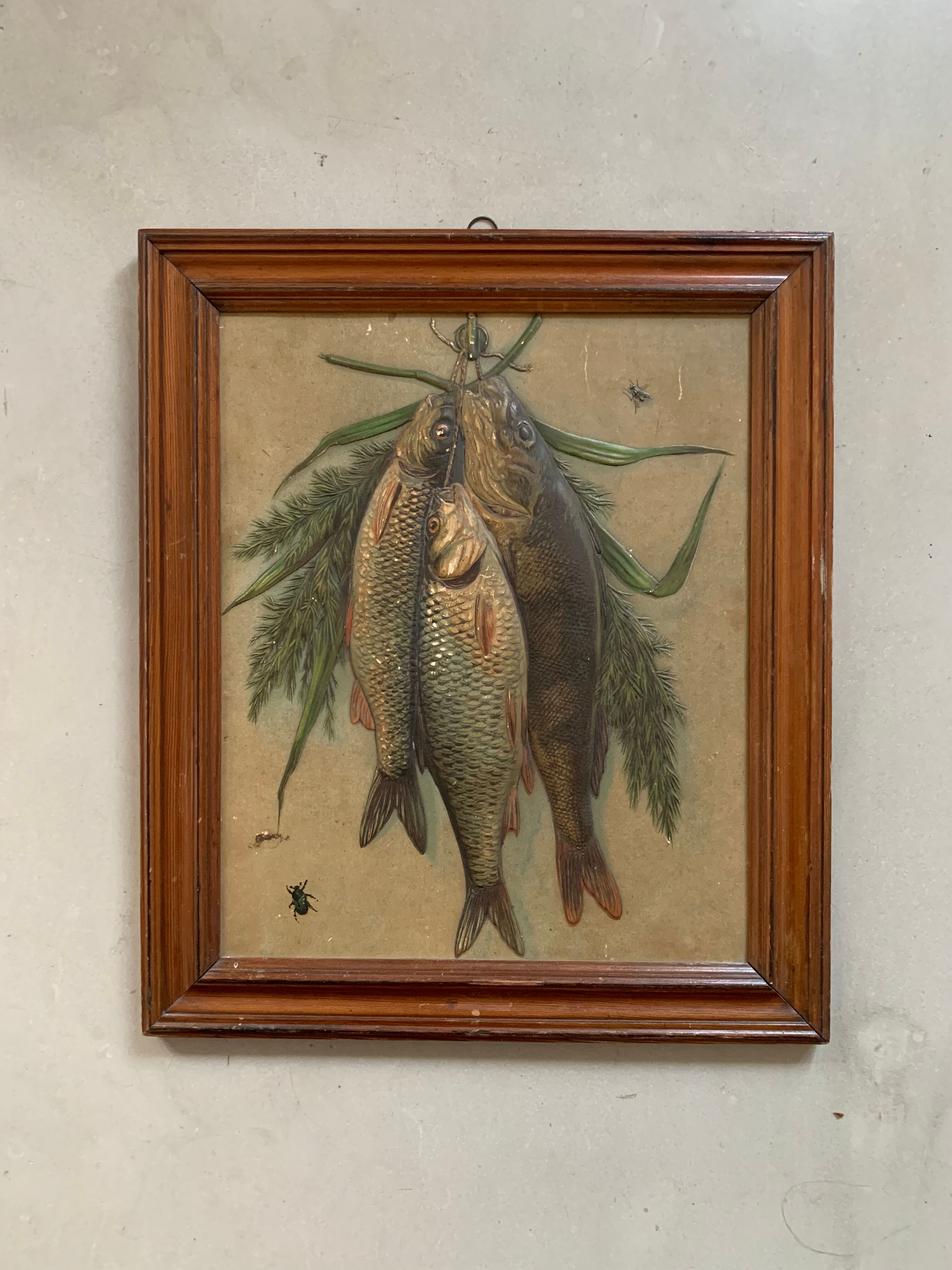 Still life, old fish trophy table