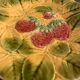 2 dessert plates in Sarreguemines fruit, strawberries and pears, early 19th century