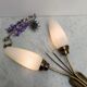 Double wall lamp