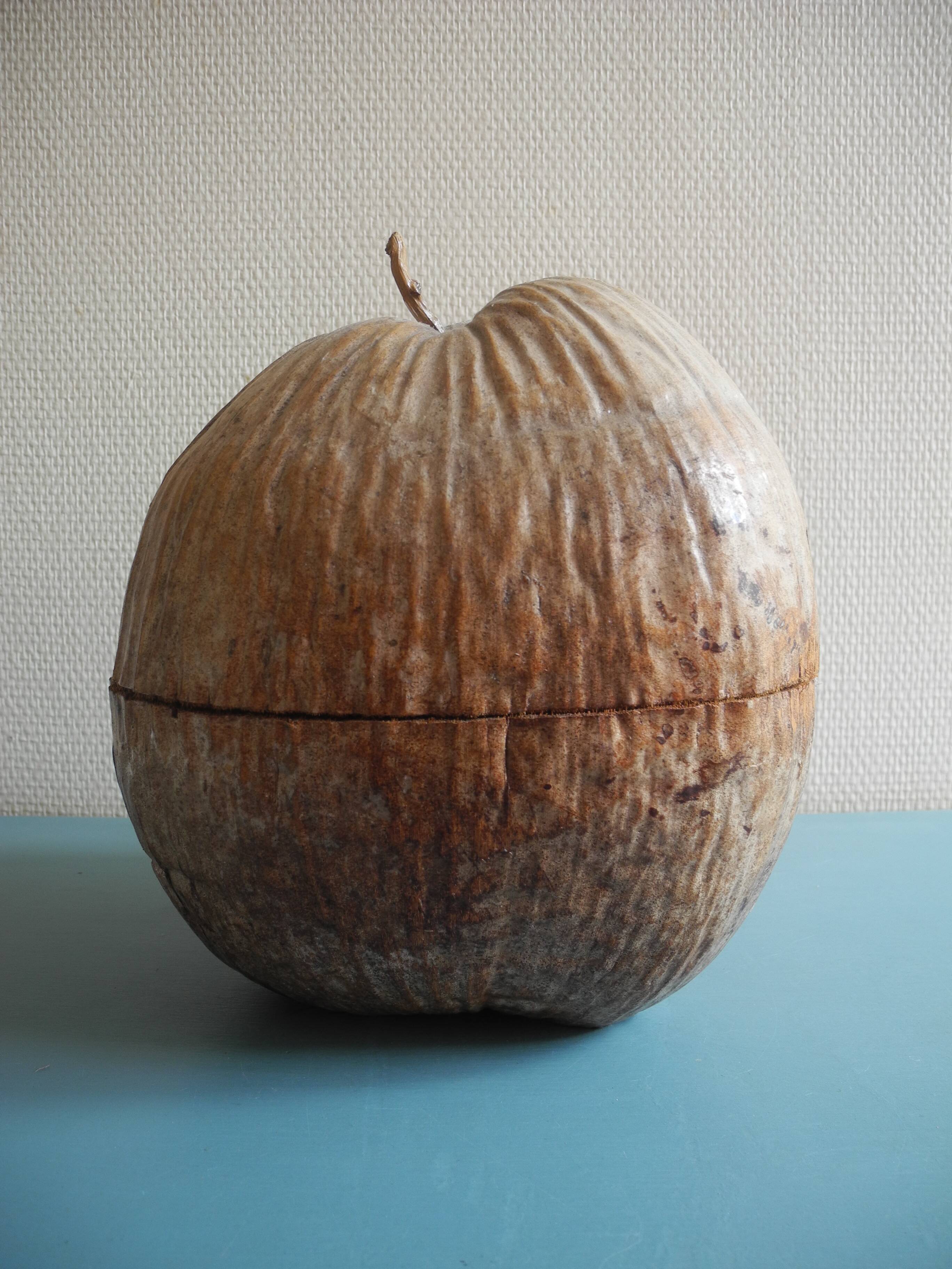 vintage ice bucket coconut Nocodaf Abidjan 70s