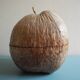 vintage ice bucket coconut Nocodaf Abidjan 70s