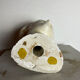 Plaster head
