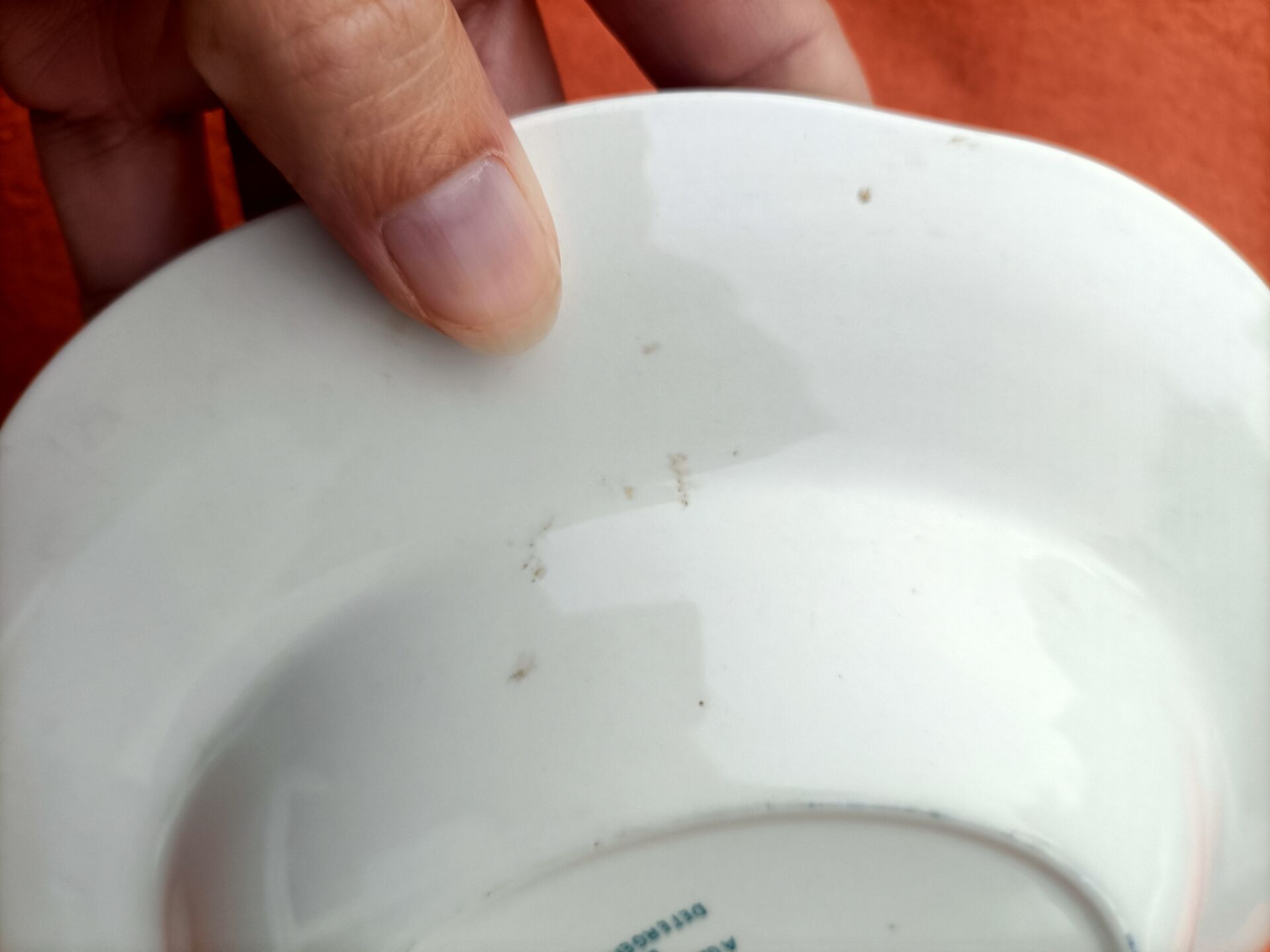 Retro deep plate