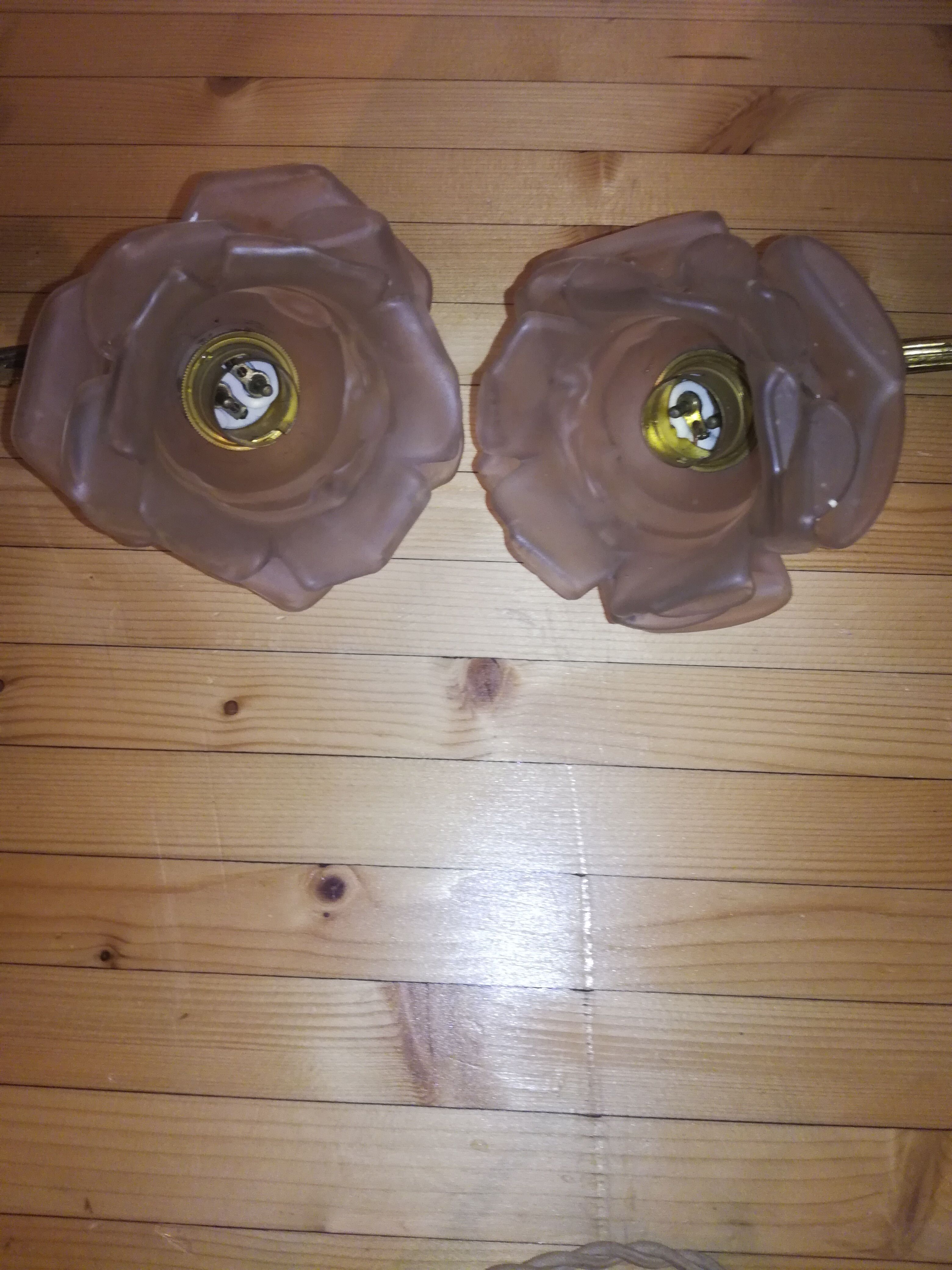 Pair of brass and glass flowers sconces