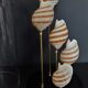 Cabinet of Curiosities globe shells tonna sulcosa