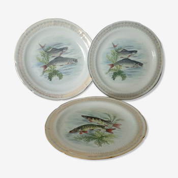 3 porcelain fish serving plates from vierzon france