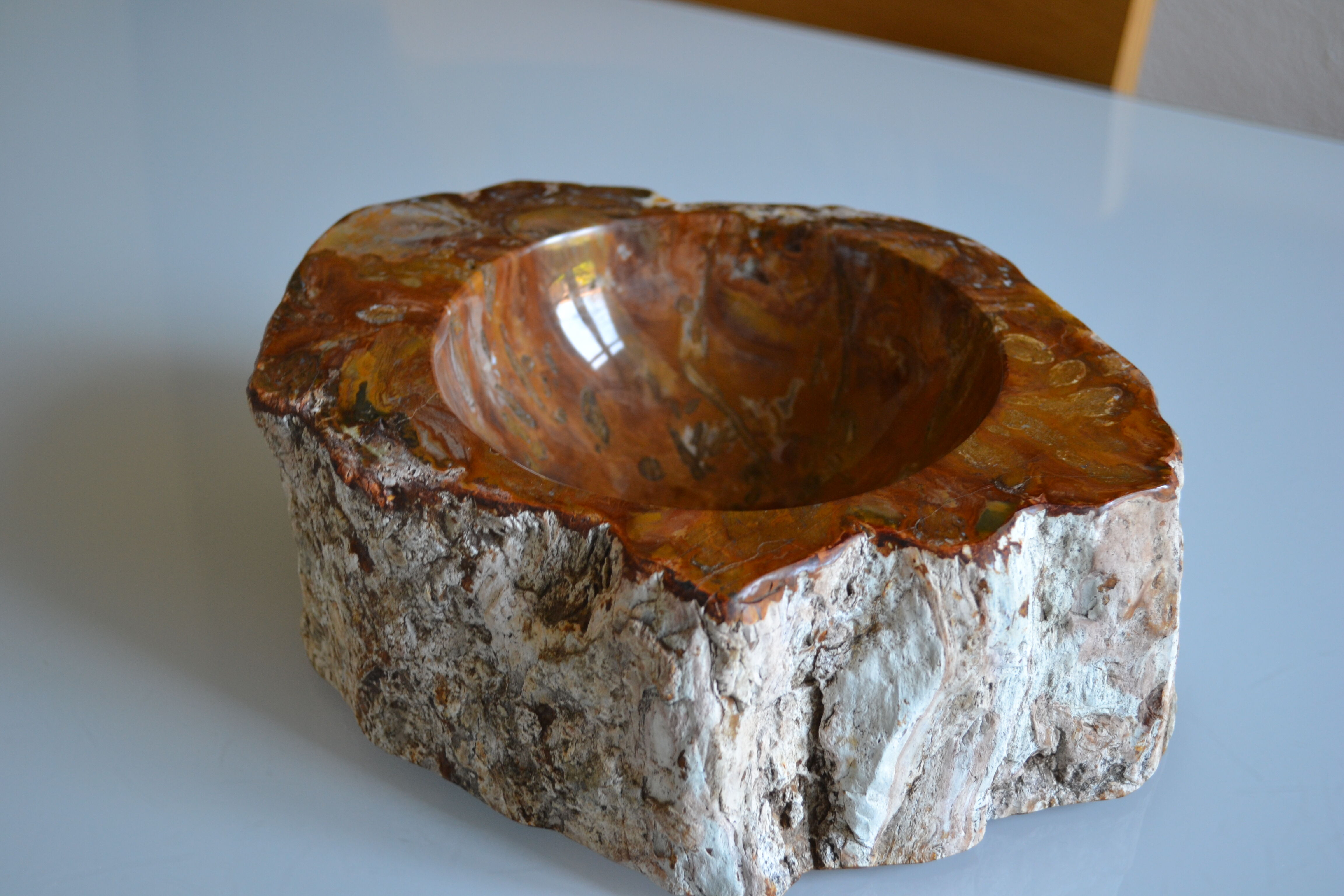 Empty pocket or ashtray in fossilized wood