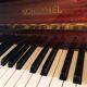 Schimmel study piano