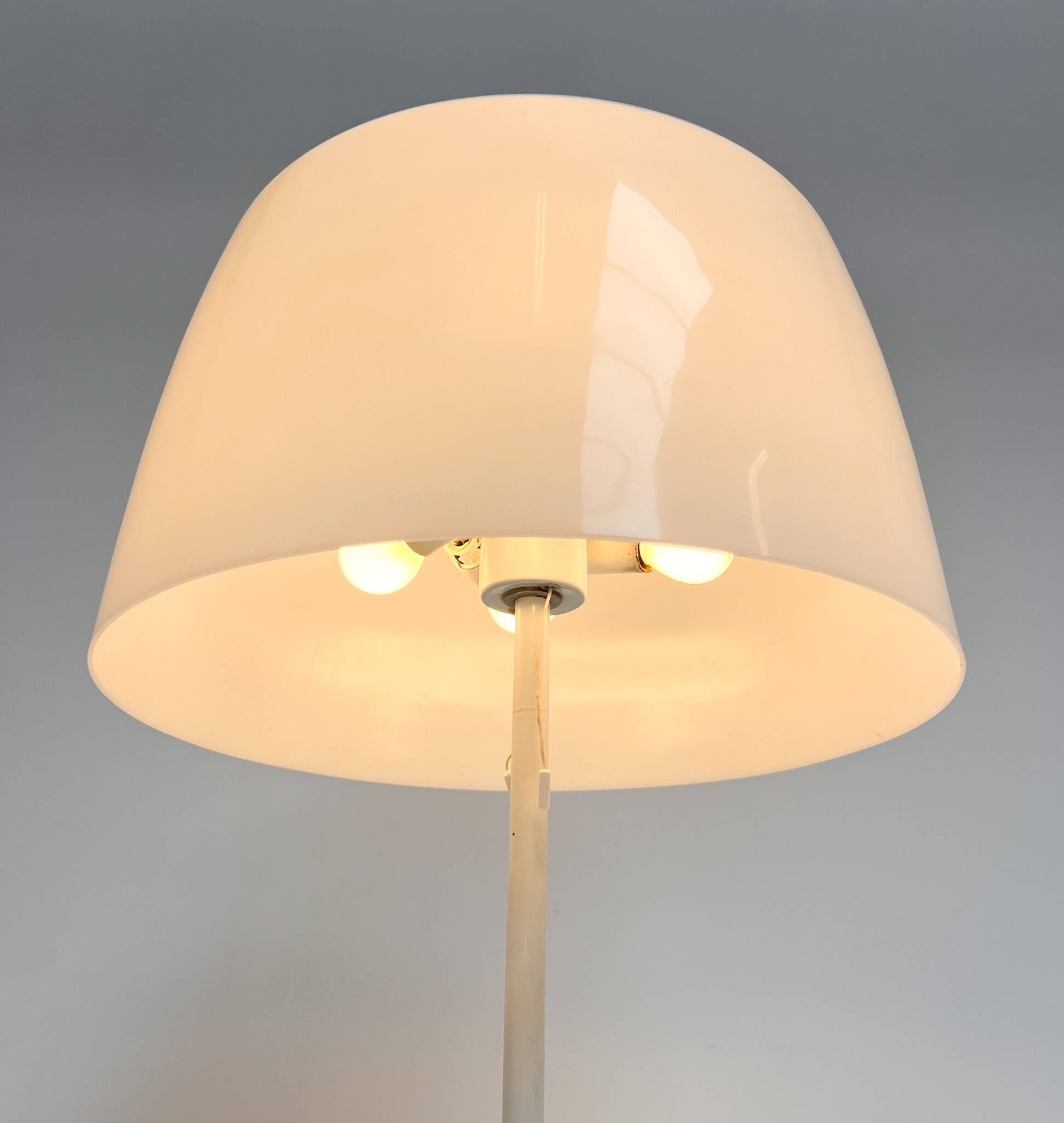 Mid Century floor lamp by Willem Hagoort, 1960s