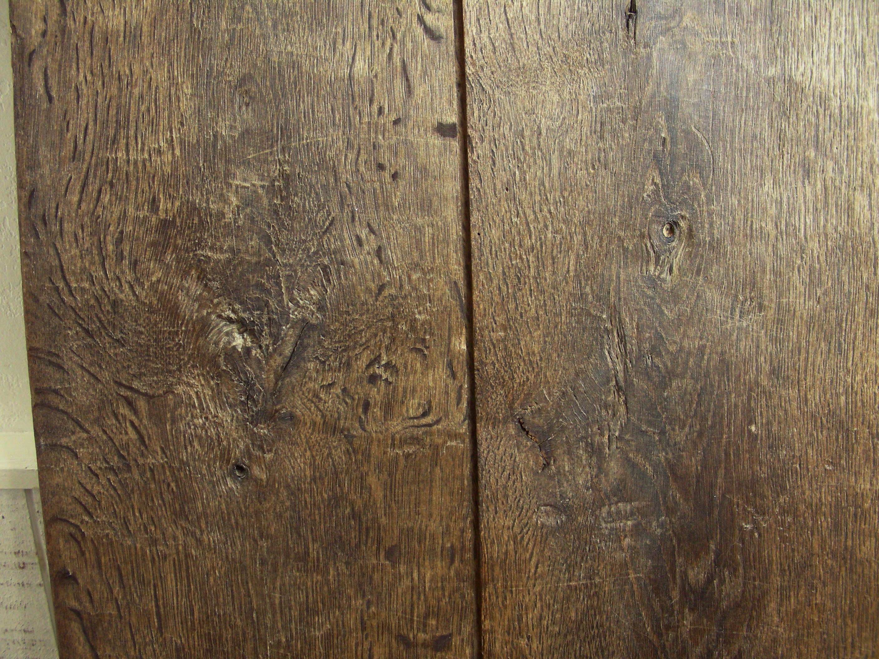 Old oak of cellar door