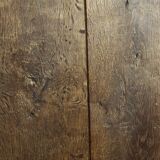 Old oak of cellar door