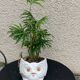 Cache pot owl glazed ceramic white slip earthenware siol Portugal