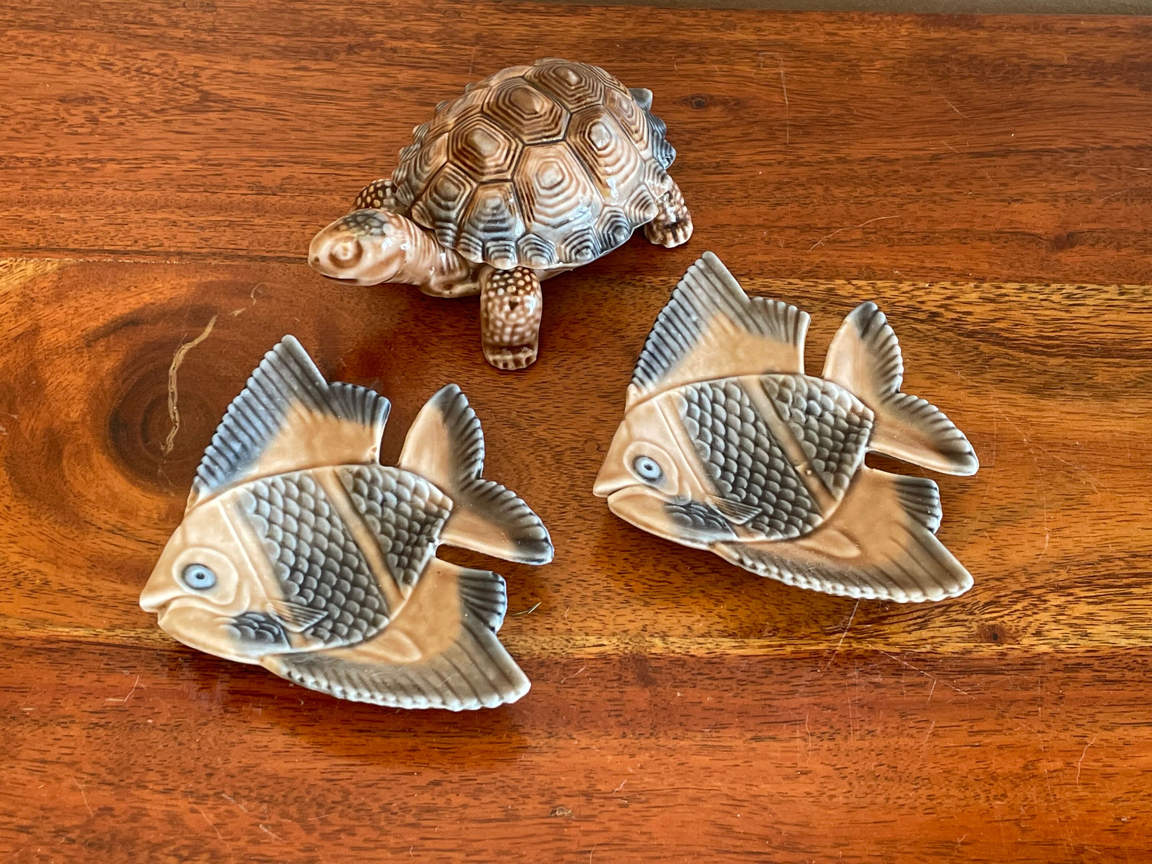 Empty fish pockets turtle Wade Ireland