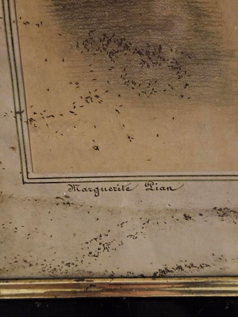 Portrait of the little sailor