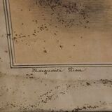 Portrait of the little sailor