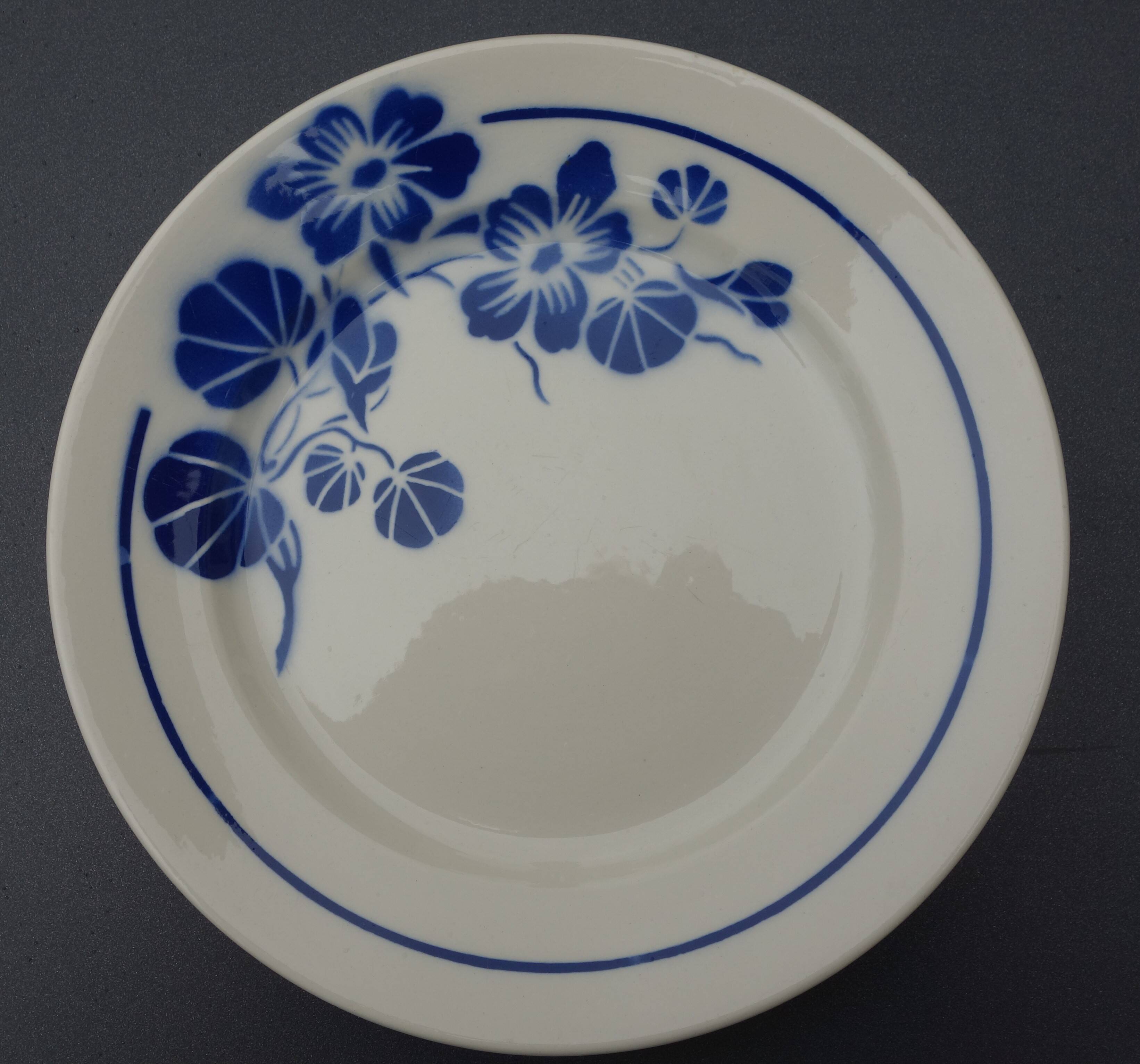 Flat plates badonviller nasturtiums