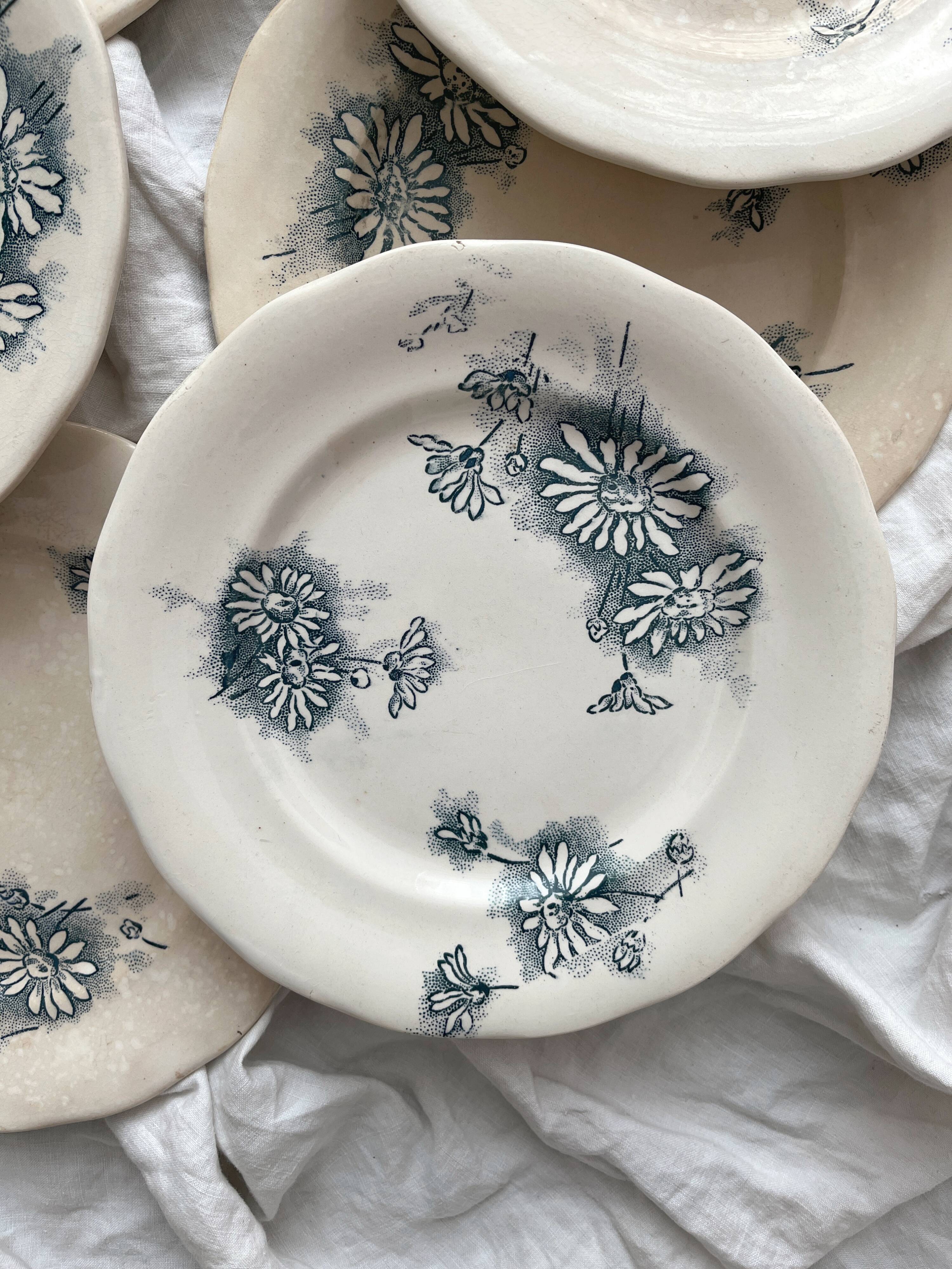 7 "Marguerite" ironstone dessert plates from the Nouvelle Givors pottery factory