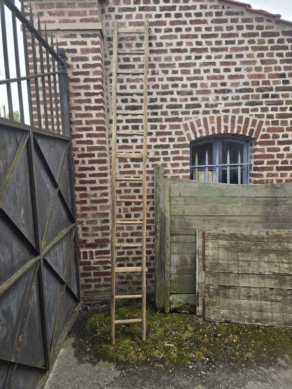 Ancien échelle en tronc d'arbre