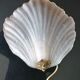 Pair of wall lamps in glass paste and brass, art deco, scallop shell by Mariner S.A.