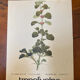 Botanical poster Marrubium Vulgare