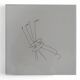 6 x Ceramic tile by Gio Ponti for Ceramica Bardelli